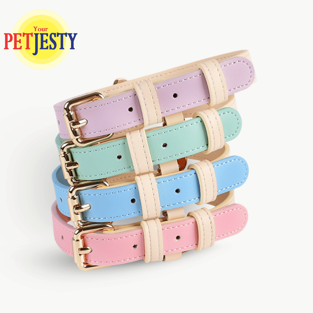 Your Petjesty Pastel Paws Collection Dog Collar