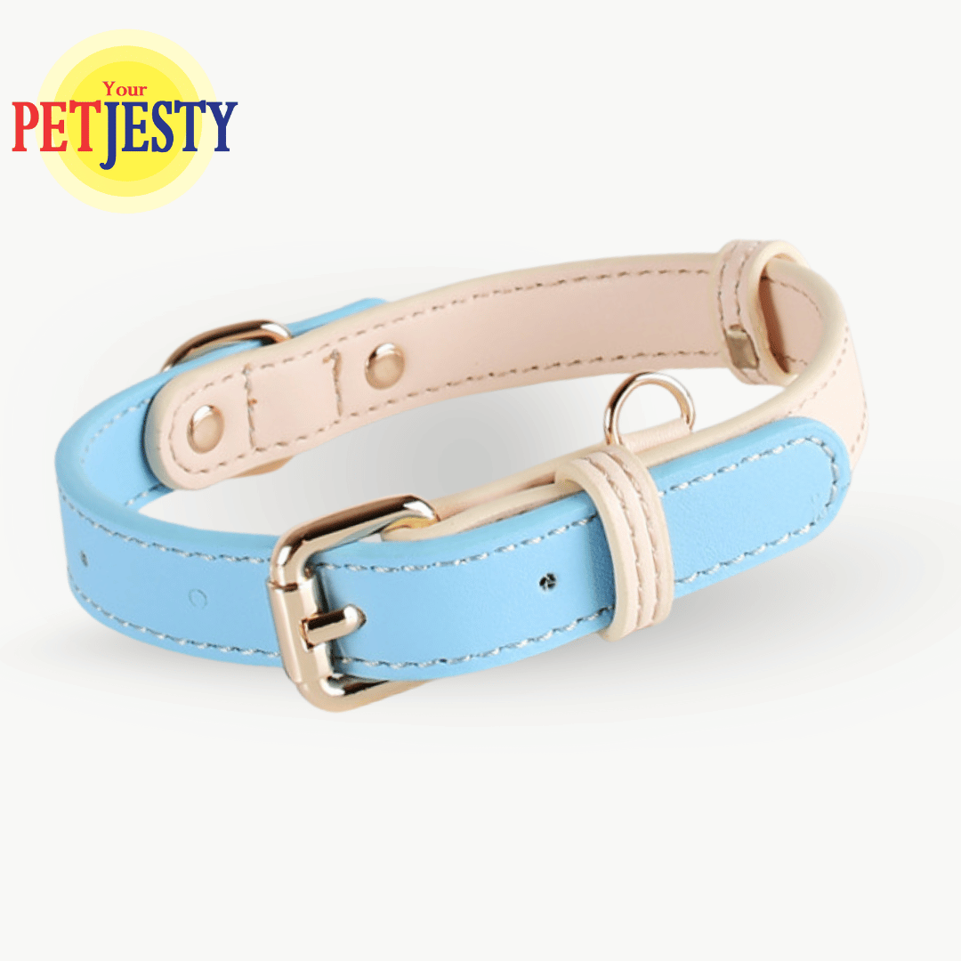 Your Petjesty Pastel Paws Collection Dog Collar