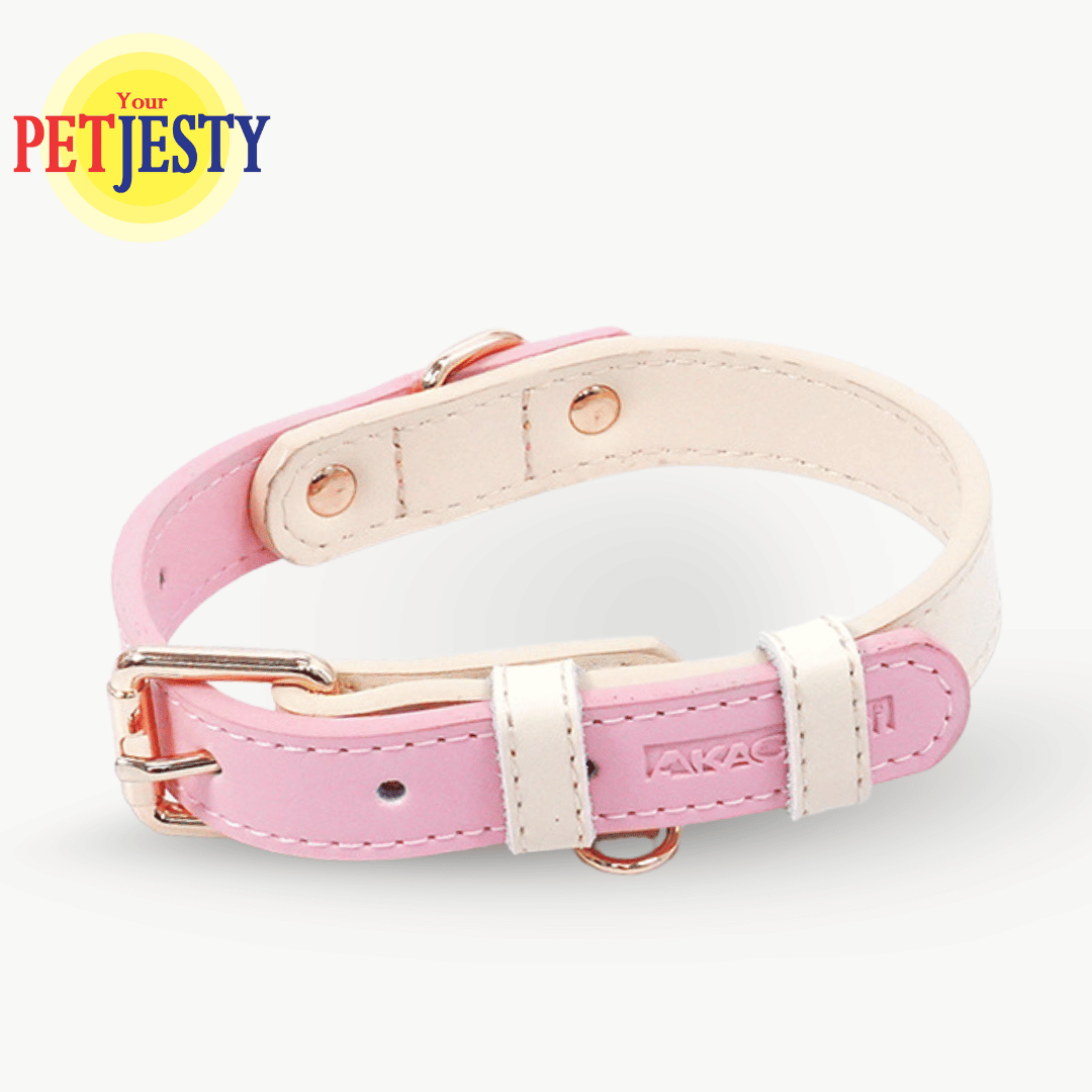 Your Petjesty Pastel Paws Collection Dog Collar