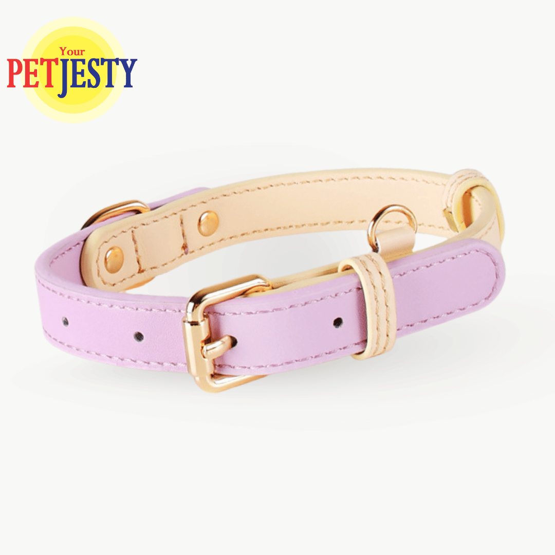 Your Petjesty Pastel Paws Collection Dog Collar