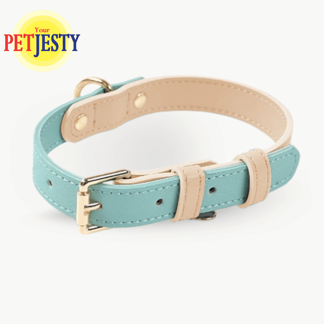 Your Petjesty Pastel Paws Collection Dog Collar