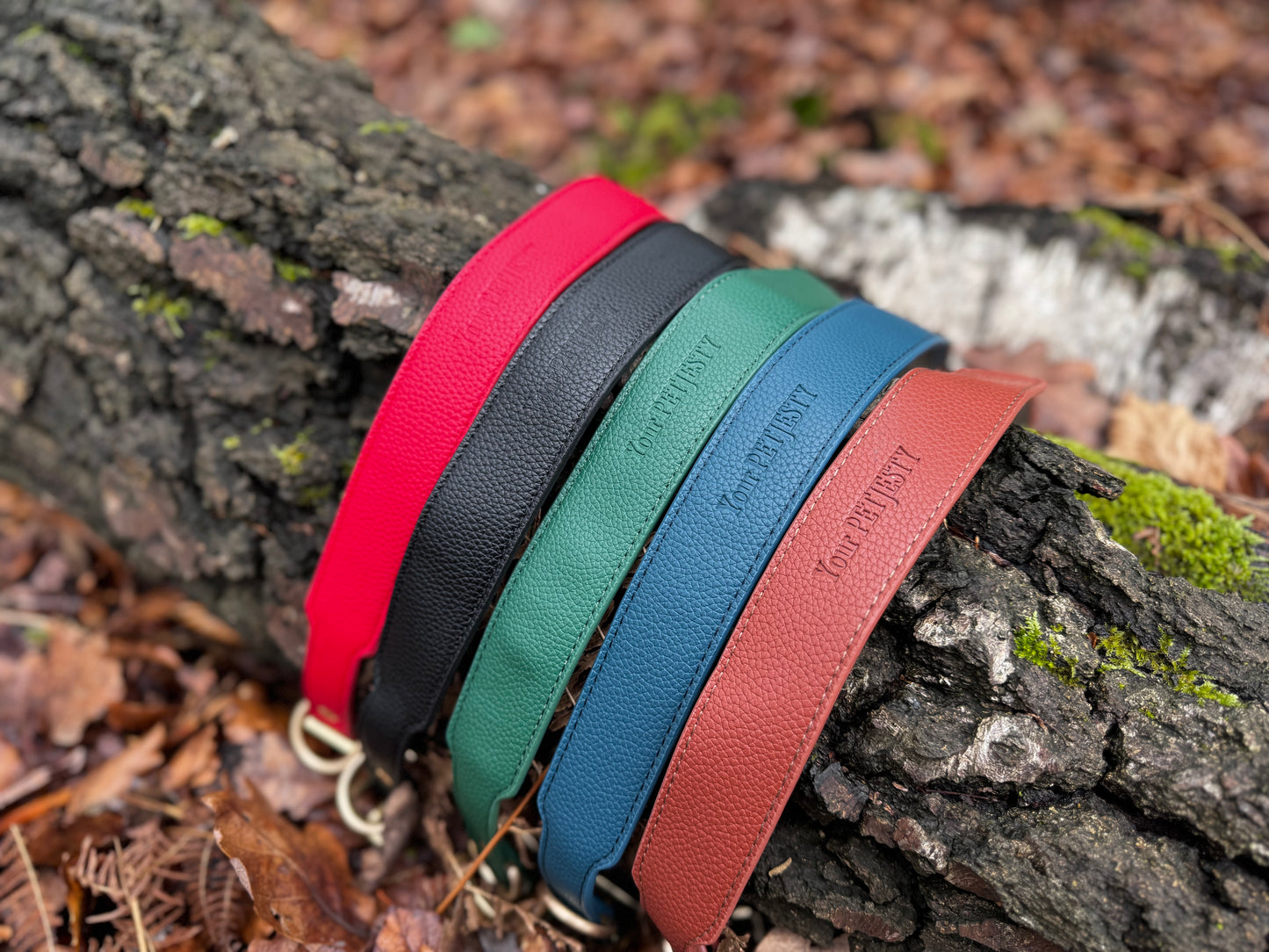 Your PetJesty Luxury Leather Dog Collar