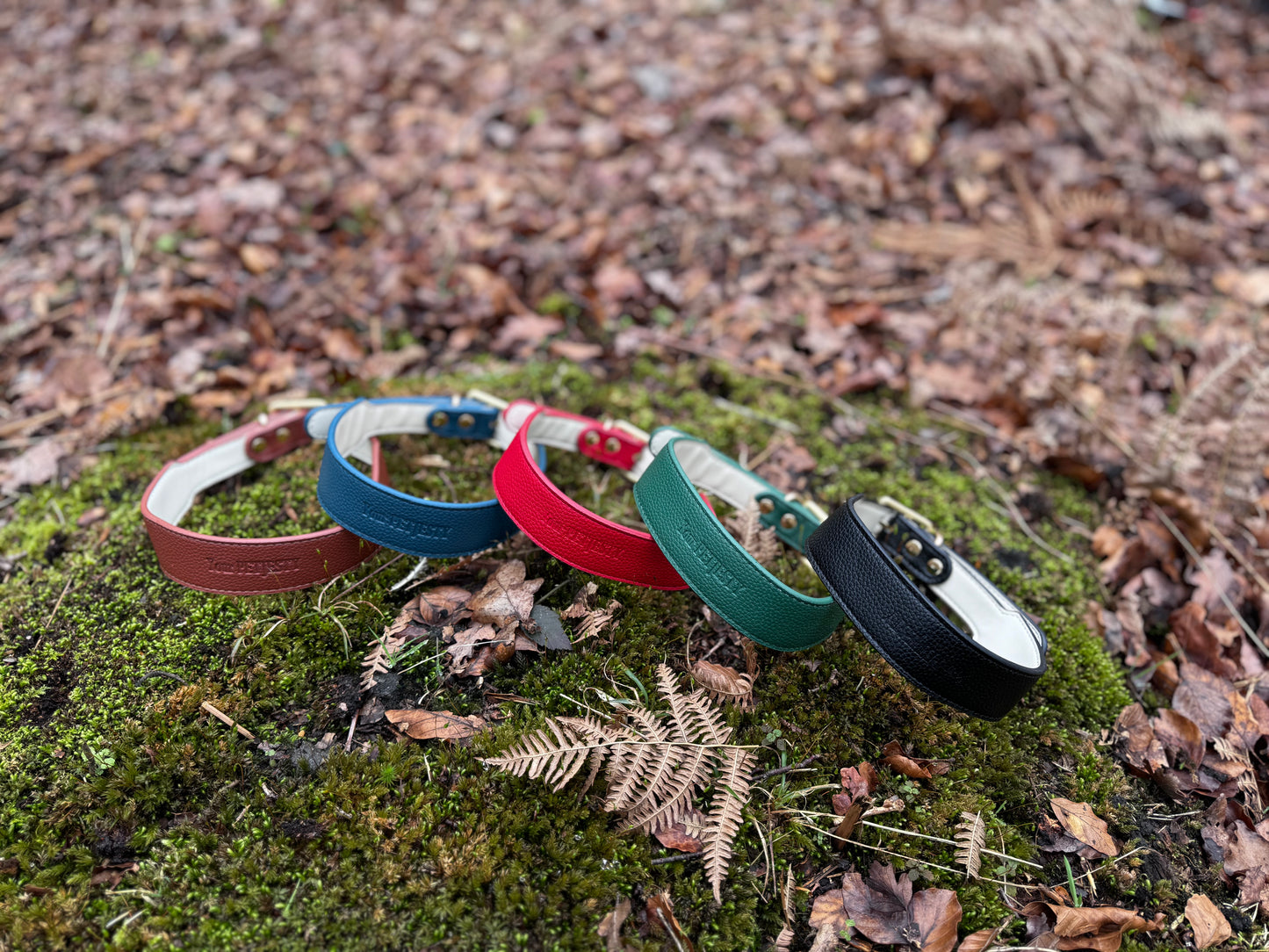 Your PetJesty Luxury Leather Dog Collar