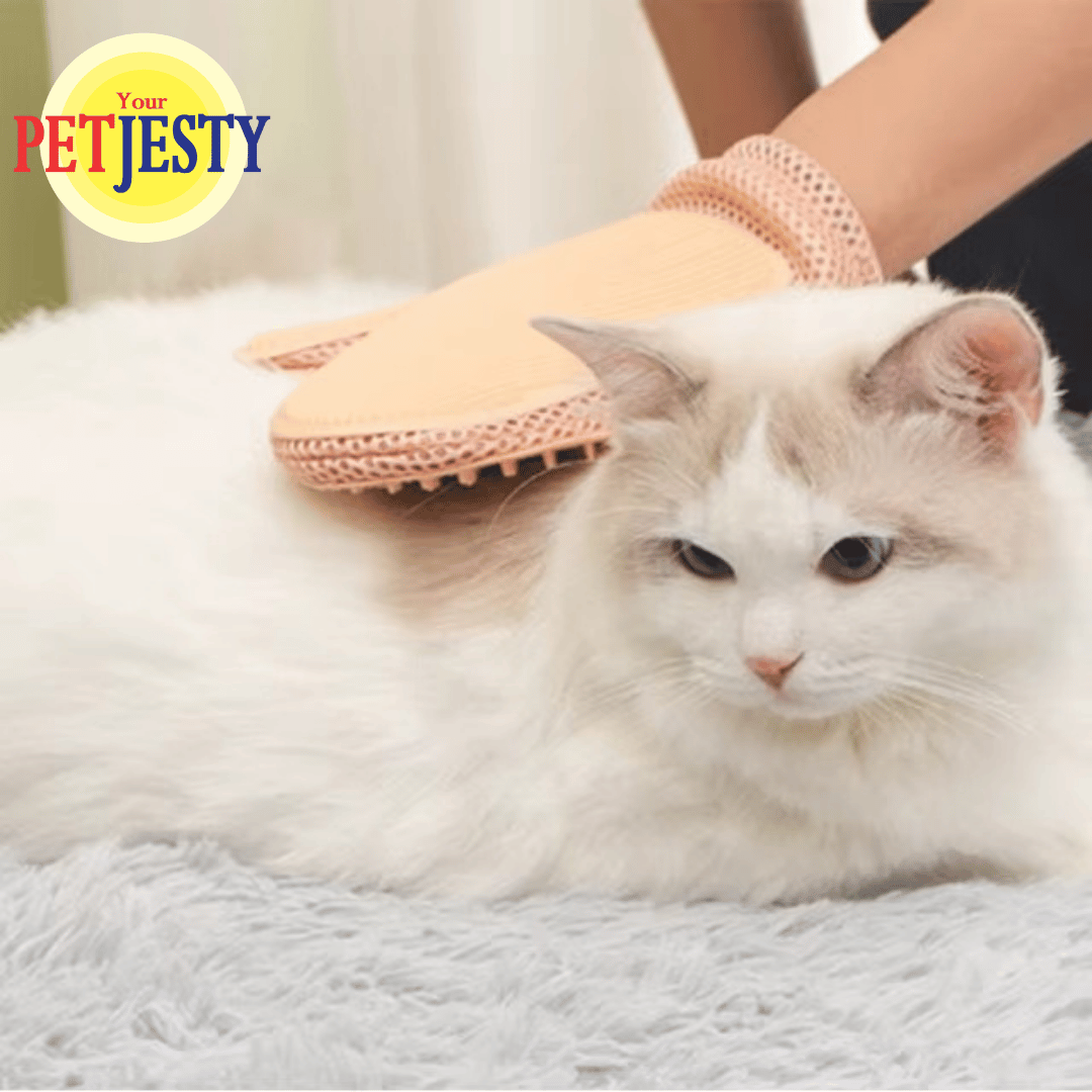 Fur & Fluff Dual Grooming Glove