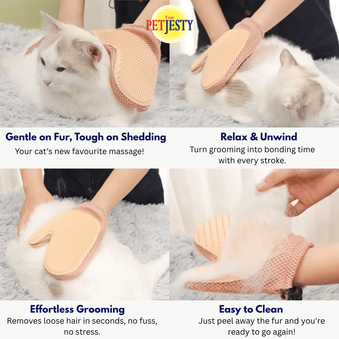 Fur & Fluff Dual Grooming Glove