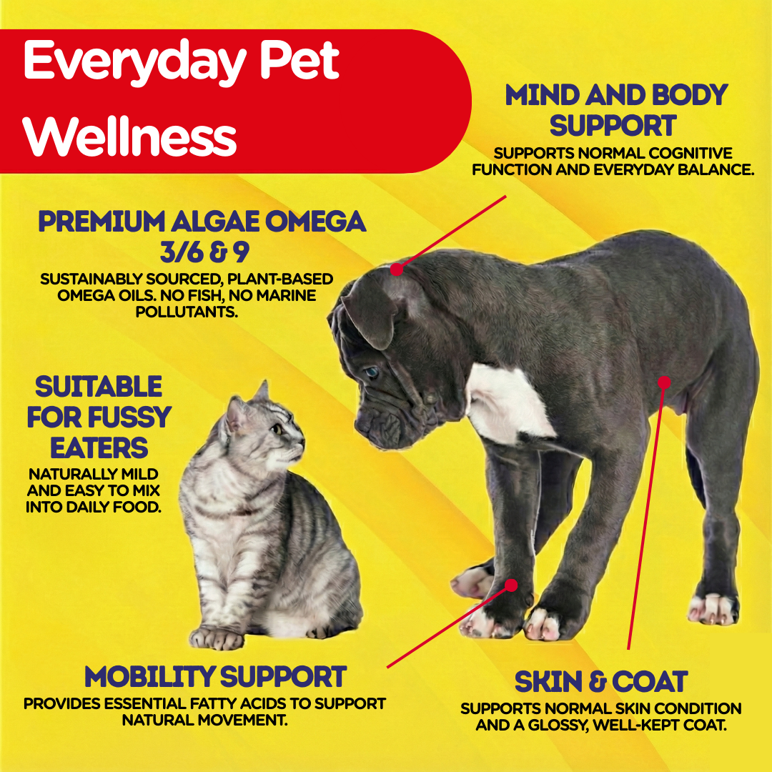 PetJesty Premium: Vegan Omega 3, 6 & 9 Algae Oil for Cats and Dogs