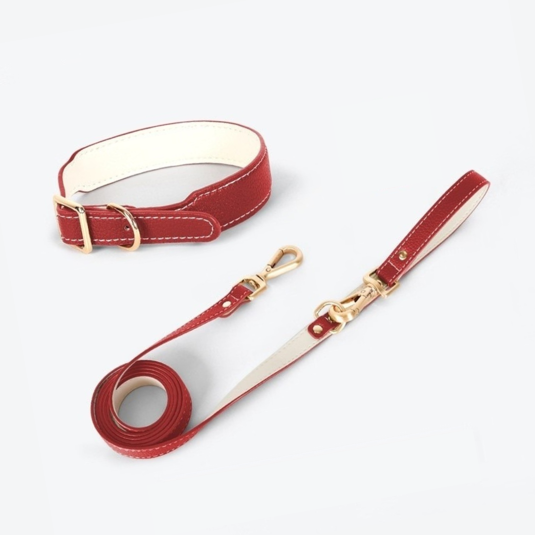 Your Petjesty Premium Leather Dog Collar and Lead